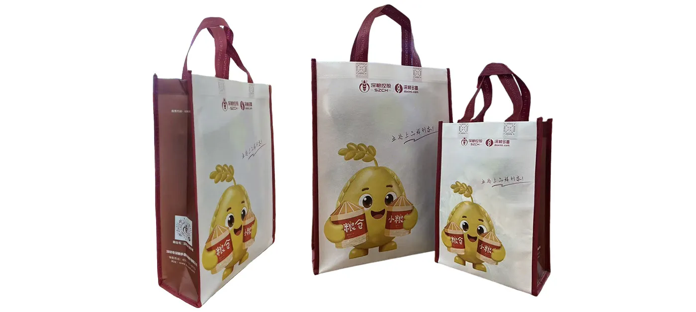 Gahumi cases 127-Custom Non-woven bag-P1.webp